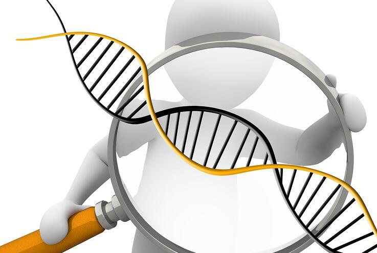 宿迁DNA鉴定机构在哪呢,宿迁亲子鉴定办理流程指南